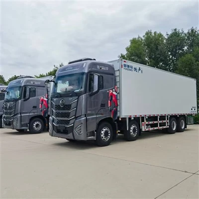 Kühl-LKW-Box